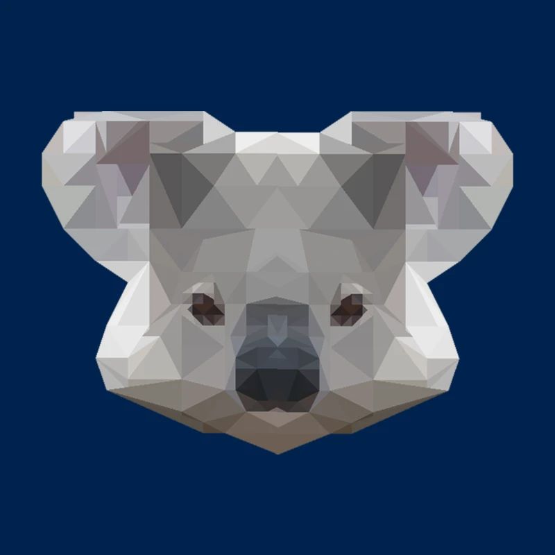 Mr. Koala
