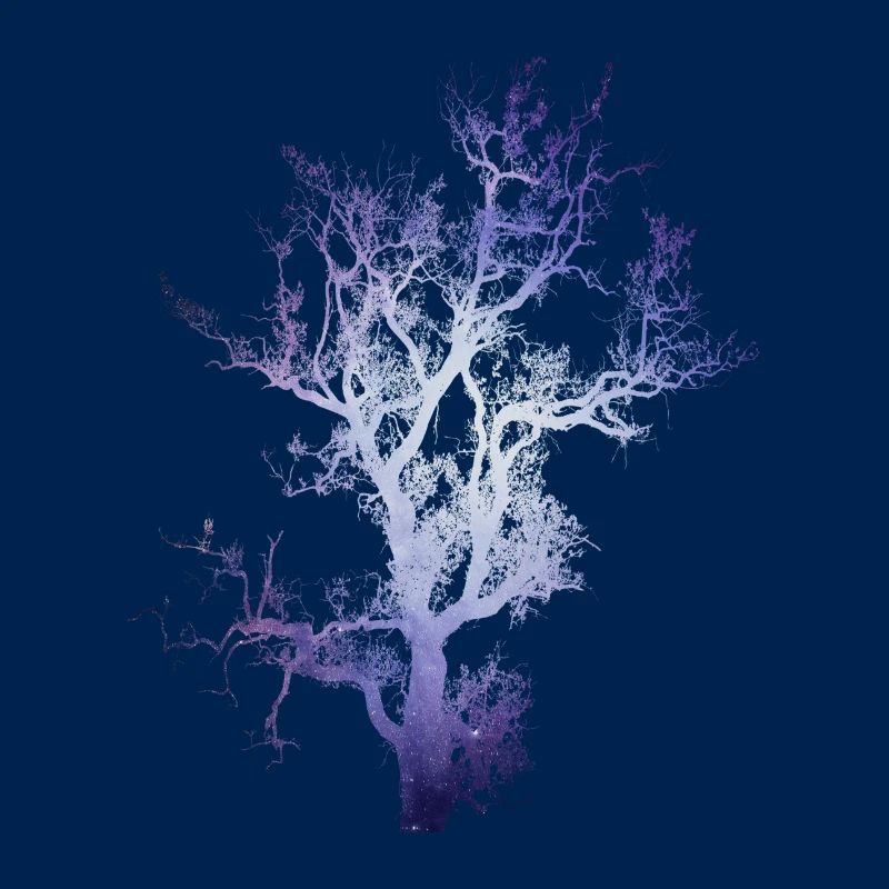 Space Baum