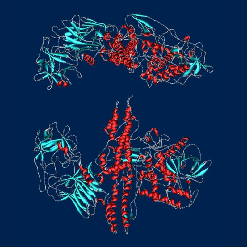 Botulinumtoxin (Botox)