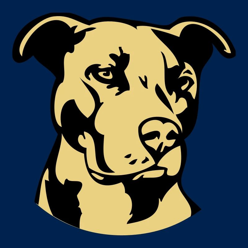 Pitbull zweifarbig - Hund Kampfhund