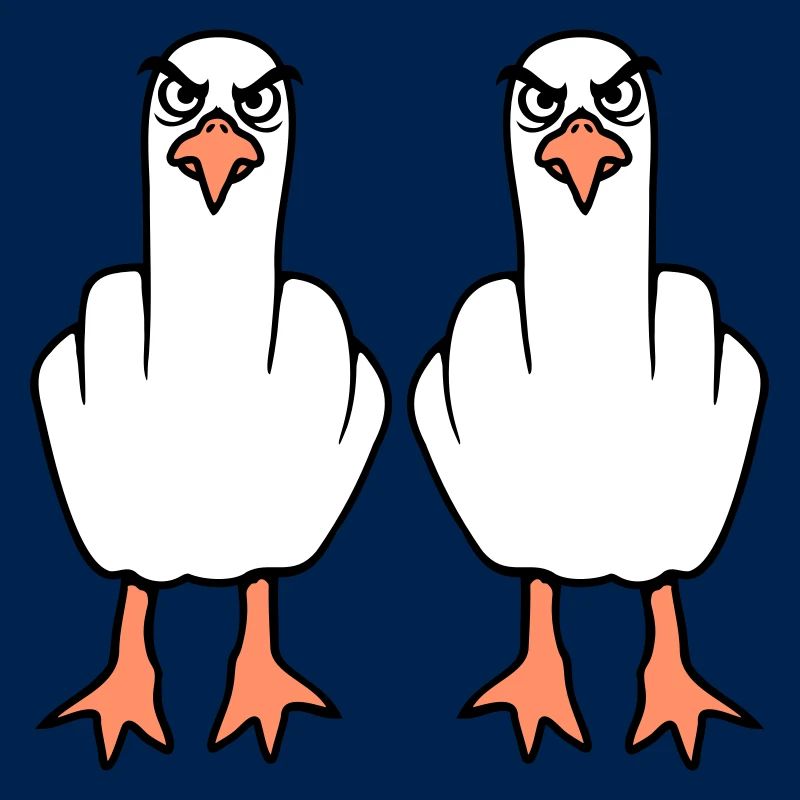 2 Seagulls Doigt d’honneur Insulte Stinkfinger Équipe