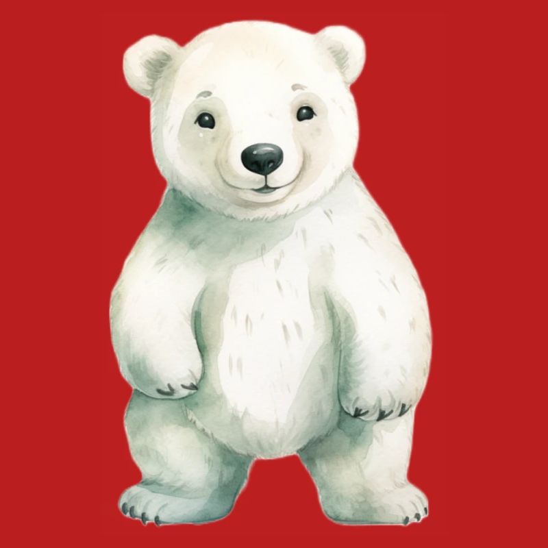 Eisbär Eisbär Klassenmaskottchen