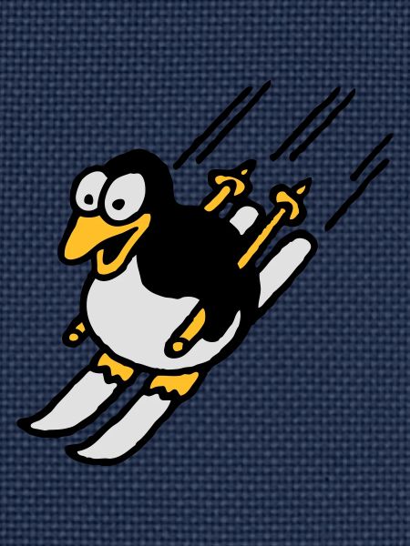 pinguin_ski_022011_a_3c