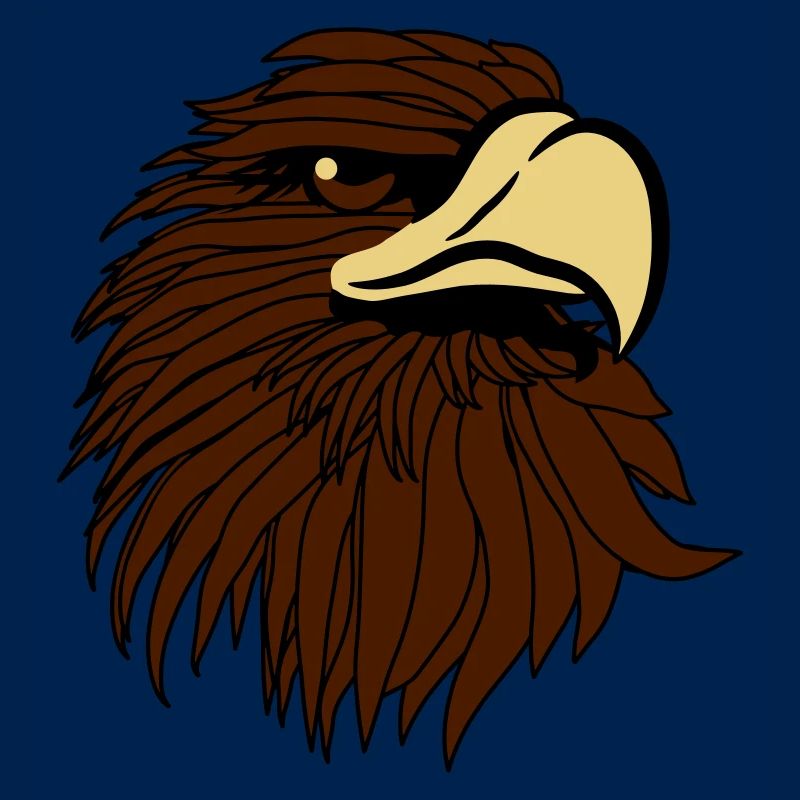 Eagle Bald Eagle