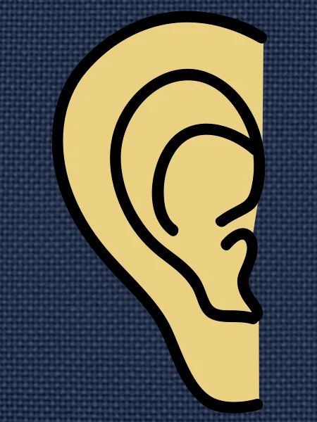 ear