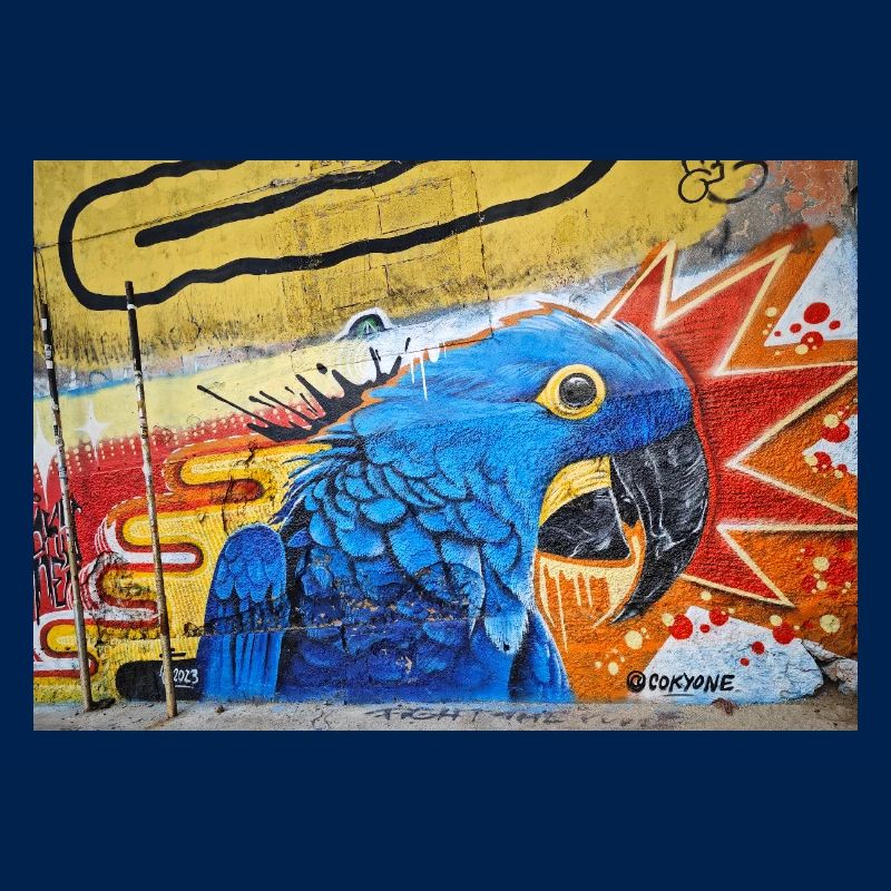 Graffiti World 6