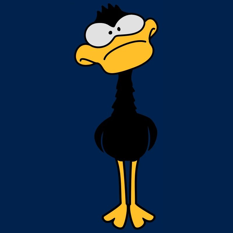 Funny Duck