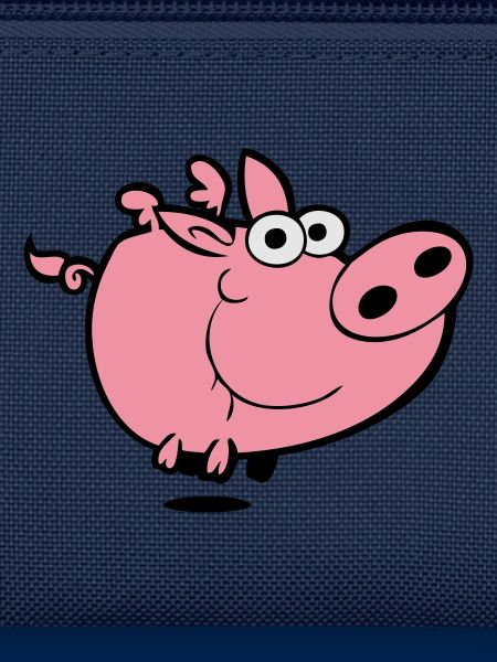 Flying Pig
