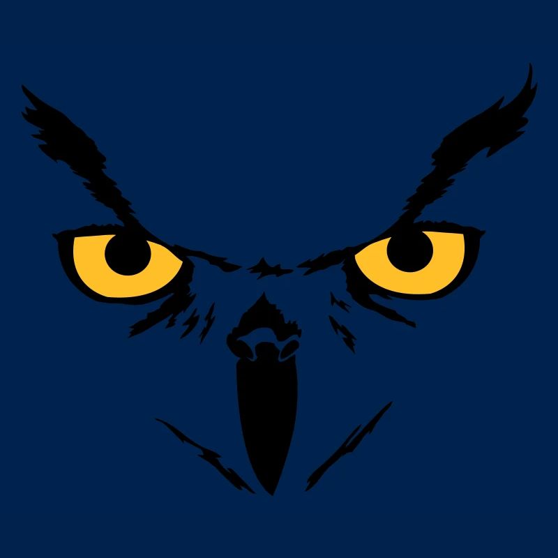 Owl face