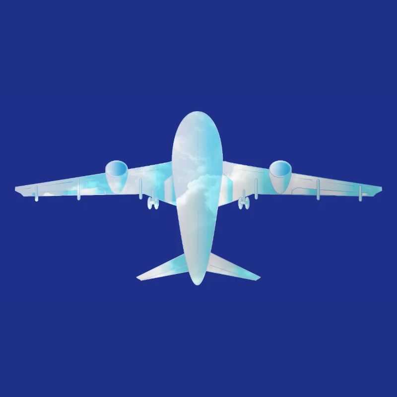 Passenger plane with cloud pattern