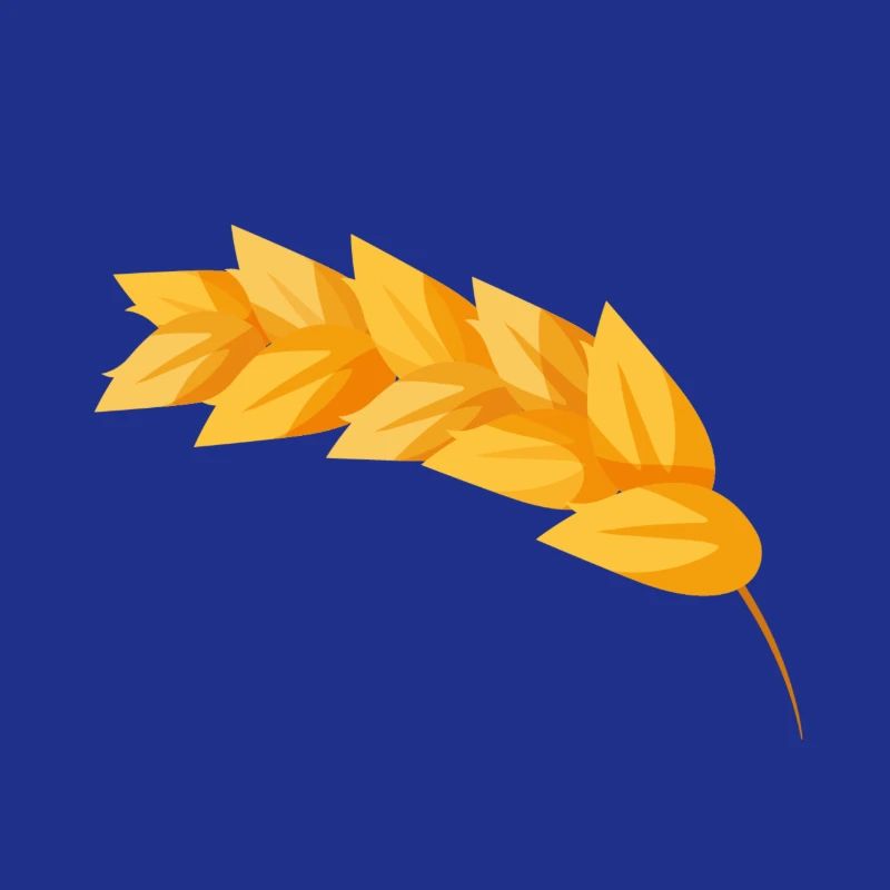 Corn grain corn
