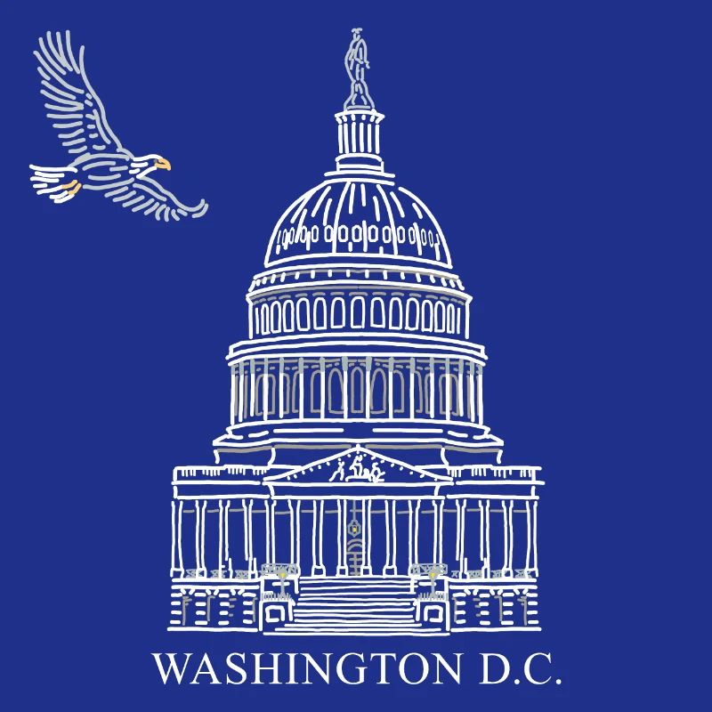 Washington D.C., Capitol Structure, Bald Eagle