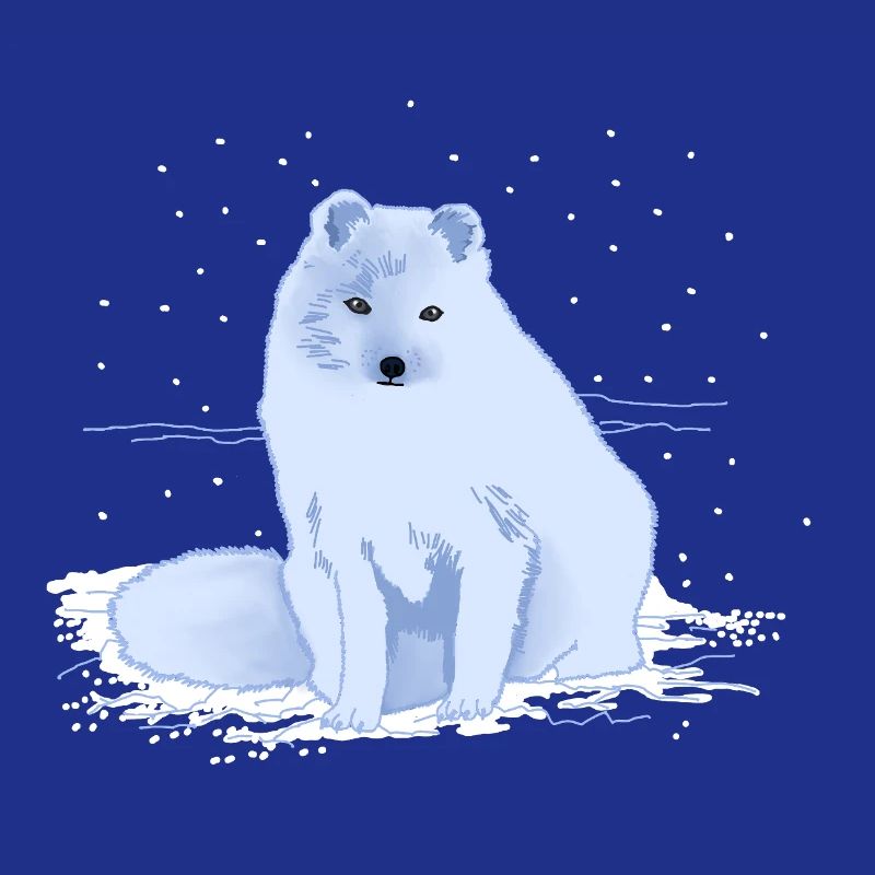 Polarfuchs im Schnee