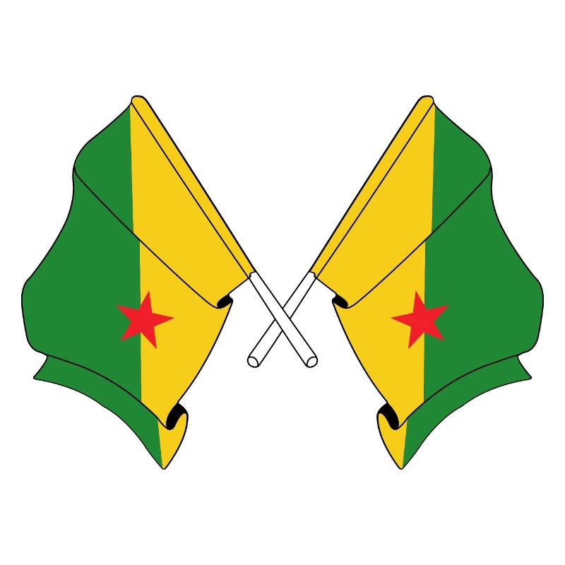 Deux drapeaux croisés de la Guyane