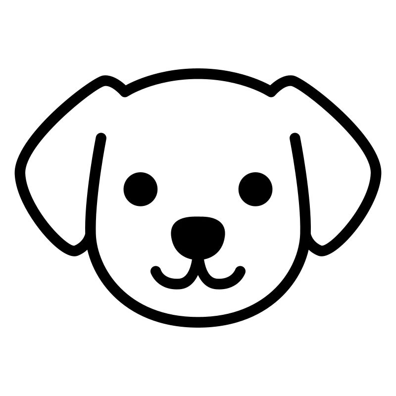 Hund Welpe Gesicht