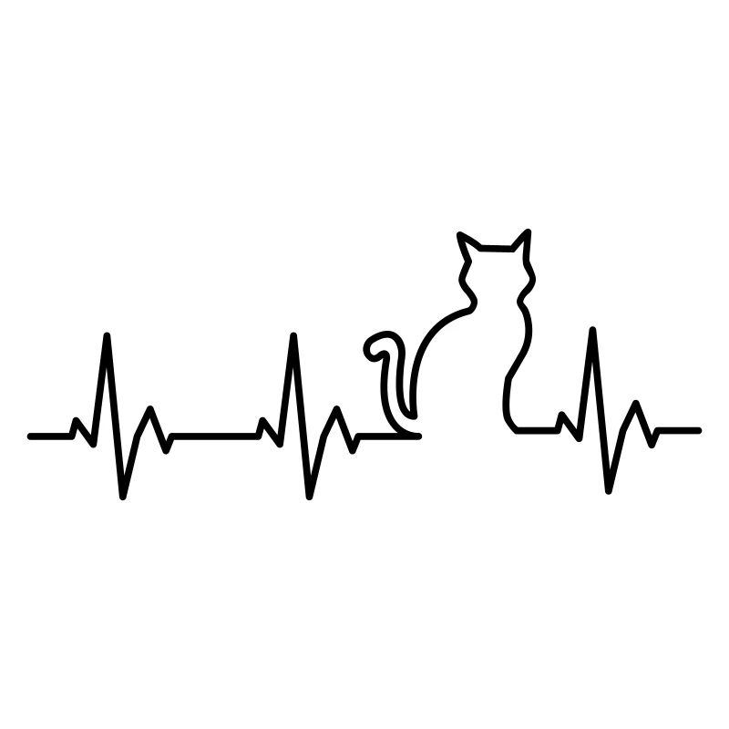 Ligne de vie Cat
