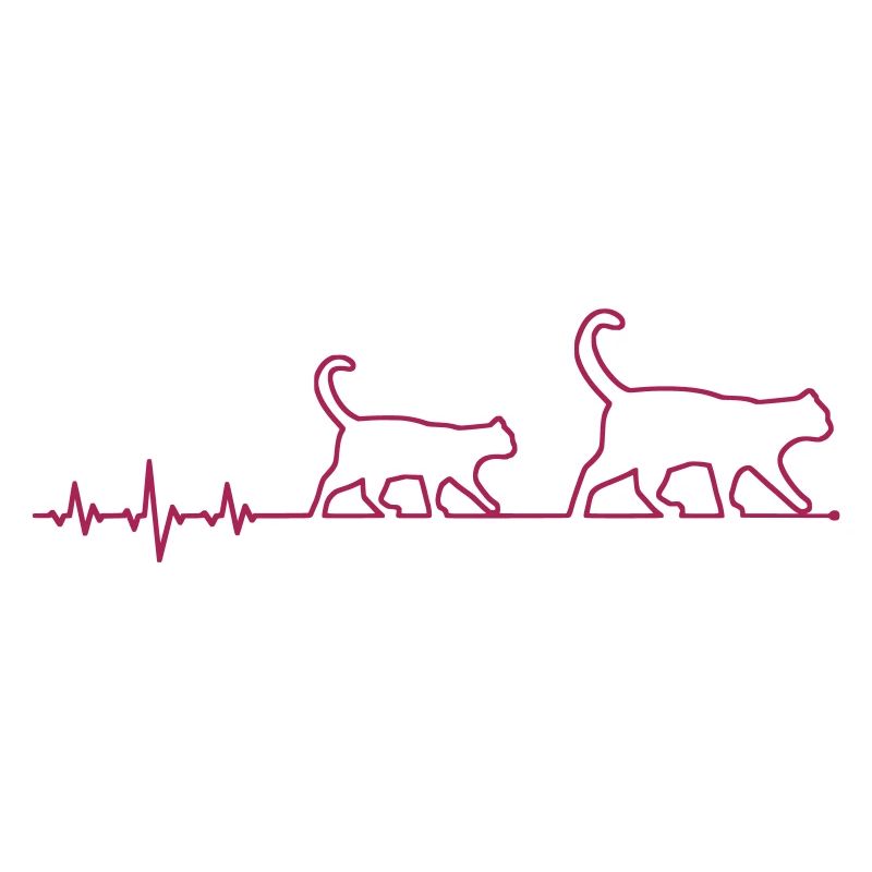 chat ECG