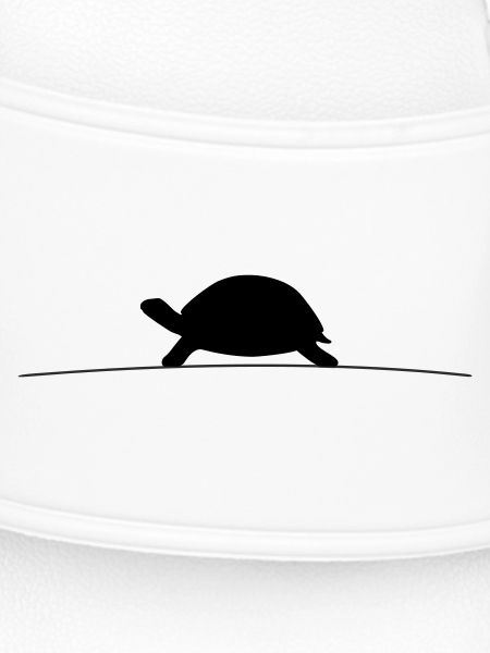 Turtle Silhouette