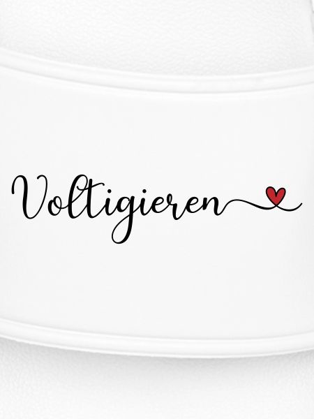 Voltigieren