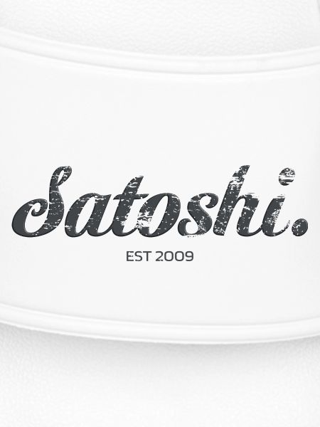 Satoshi Bitcoin Hodl