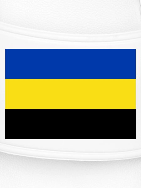 Gelderland flag