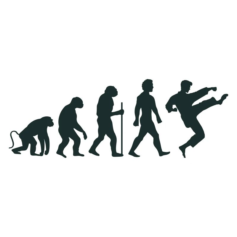 Karate Evolution