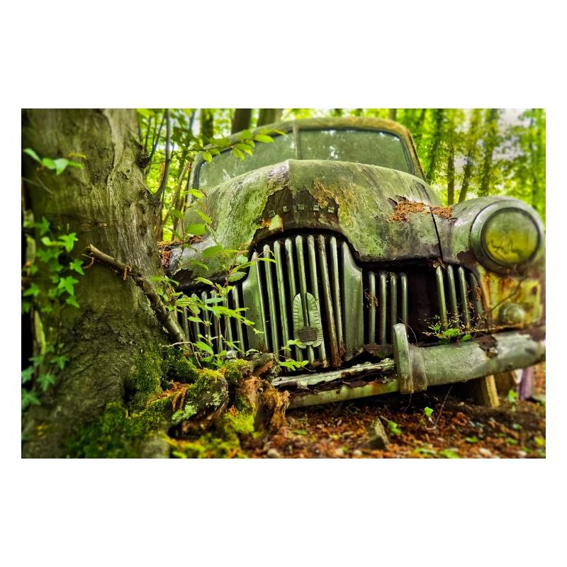 Waldverfall: Rostige Autoüberreste