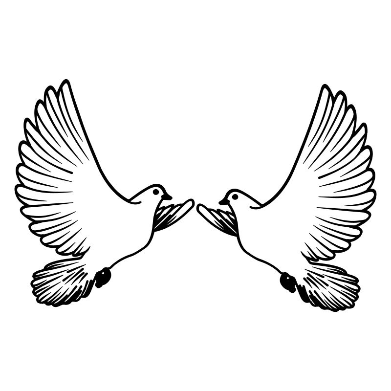 Two pigeons transparent