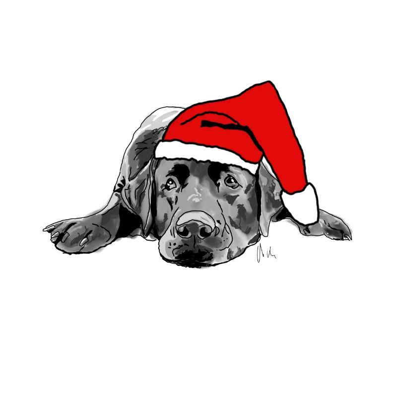 Labrador Weihnachten