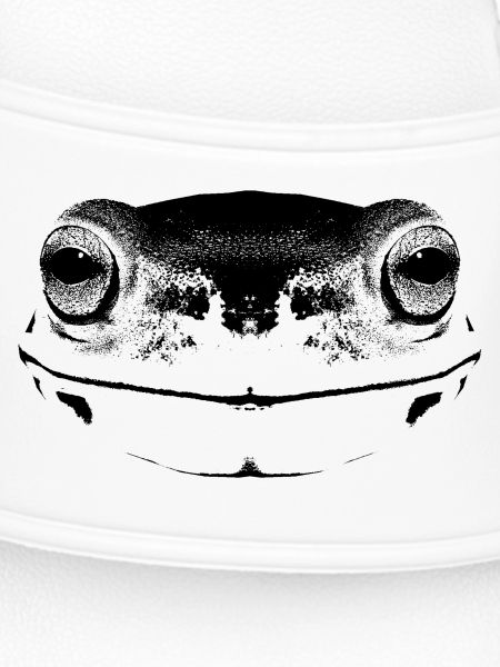 Frosch / Gesicht / frog Face