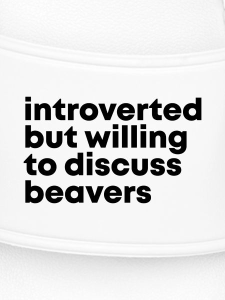 Beaver Beaver Beaver