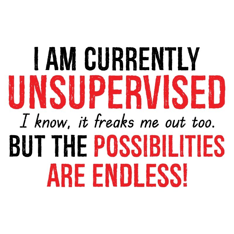 I Am Currently Unsupervised Possibilities Endless
