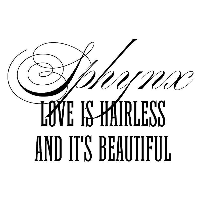 Wunderschöne Sphynx Katzenliebe