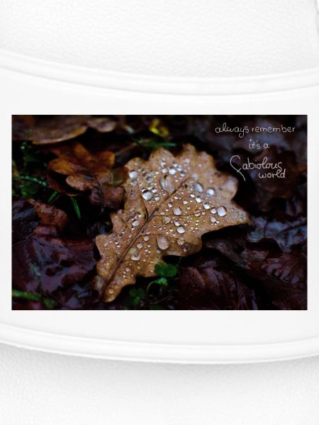 fabiolous world Herbstblatt