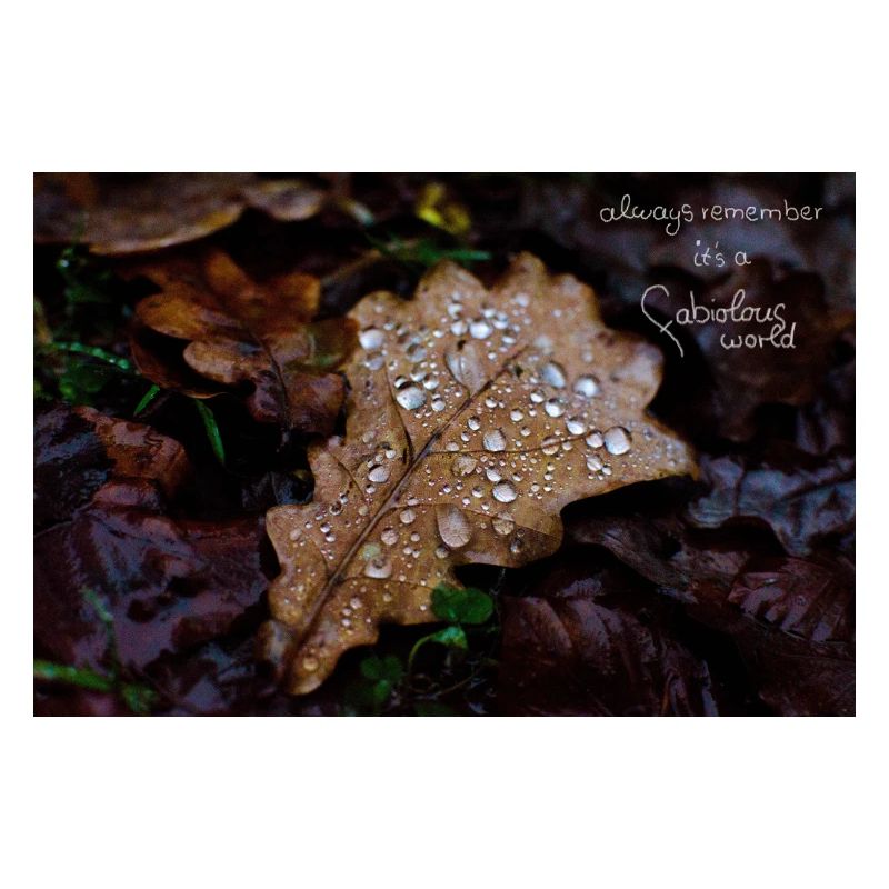 fabiolous world Herbstblatt