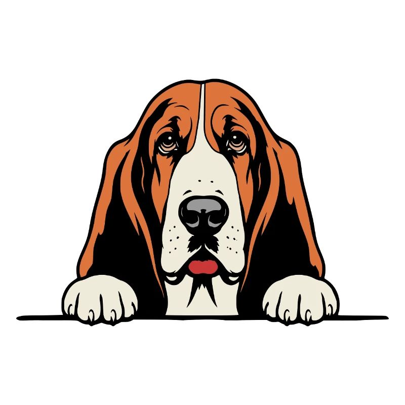 Basset_Hound with paws front view cartoon colored