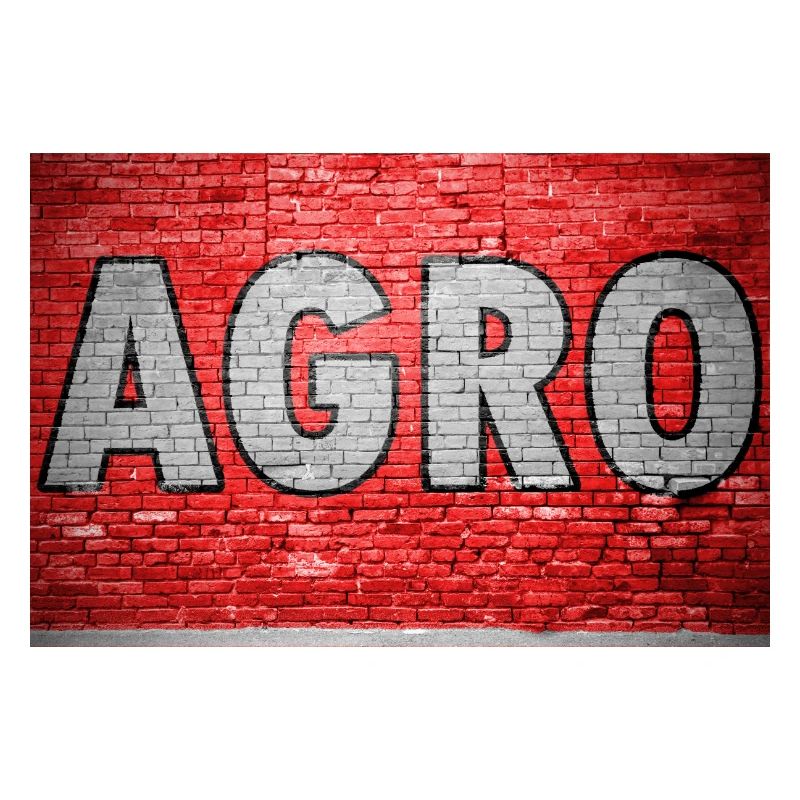 Agro Brick Wall Graffiti