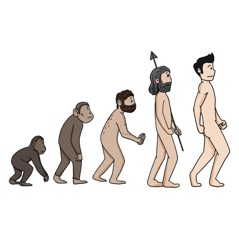 Menschheits Entwicklung - Evolution Illustration