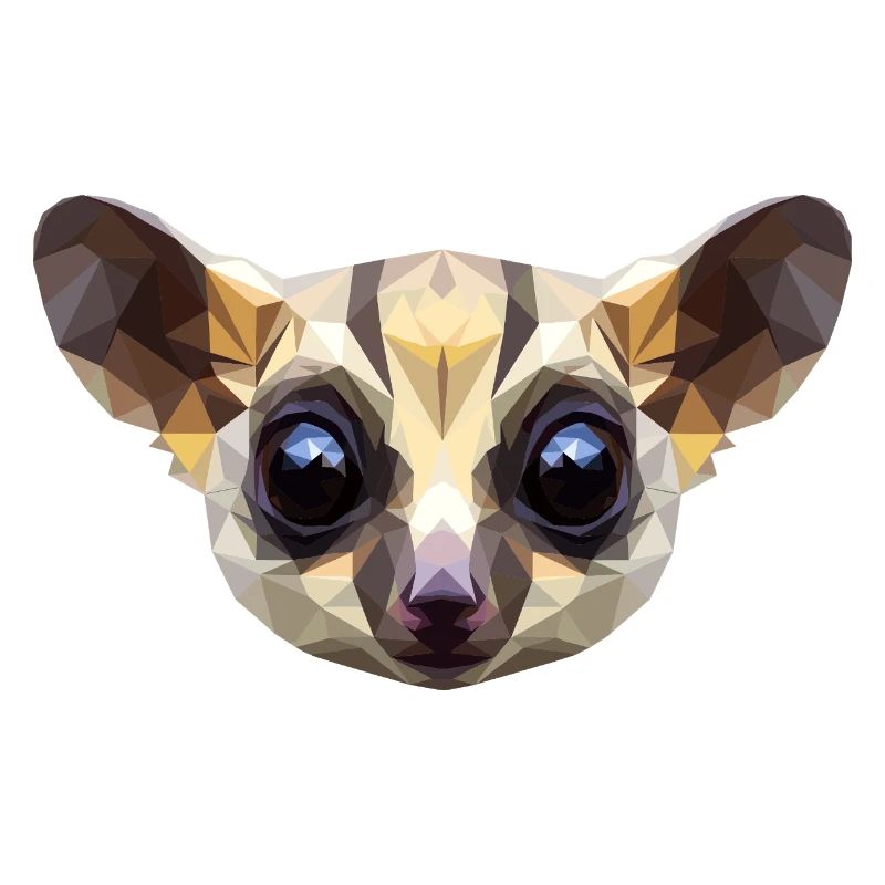 Galago Buisson Bébé Singe Galagos Singe Mignon Galago