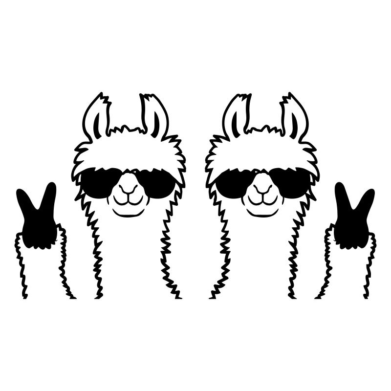 Amis Équipe Lama Paix