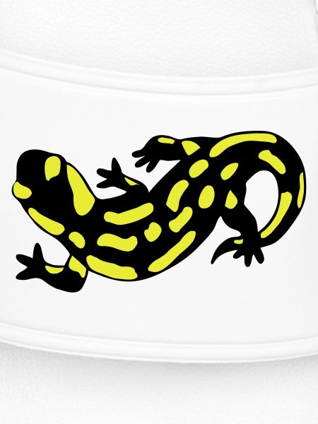 Salamander