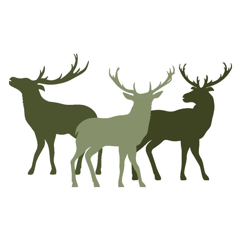 Cerf