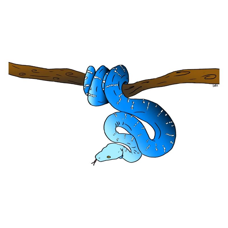 Serpent Bleu
