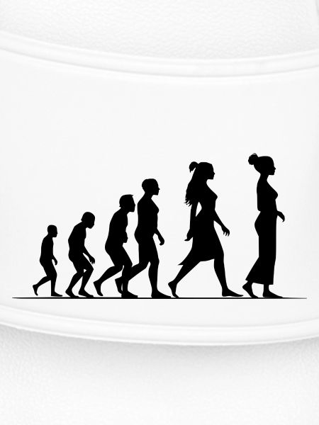 Feminist evolution