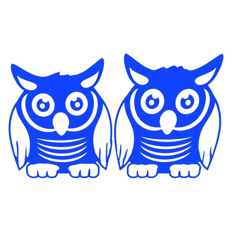 2 Eulen Team Vogel Freunde zwei Schleiereulen Crew