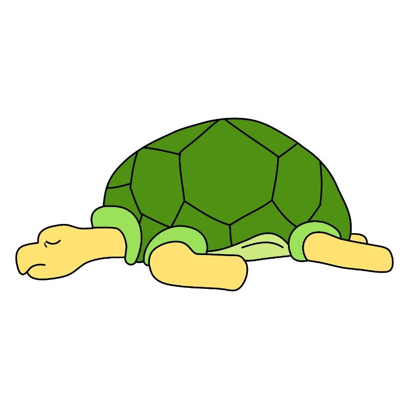 Cute Lazy Turtle Sleeping Funny Reptile Pet Owner