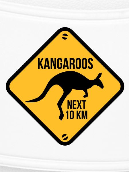 kangaroo - australia