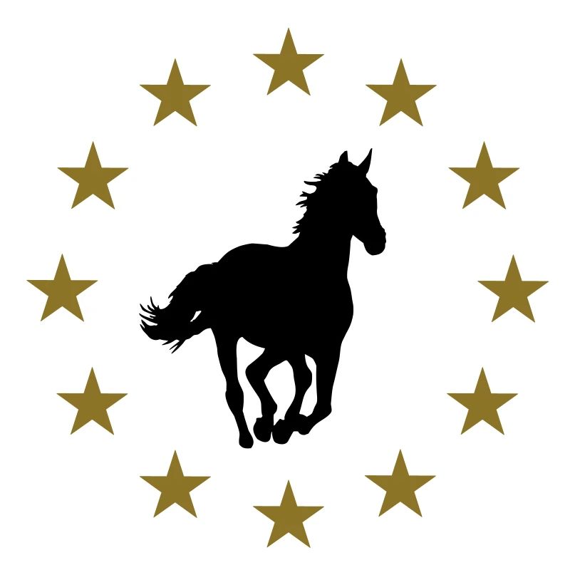 Pferd & Sternen