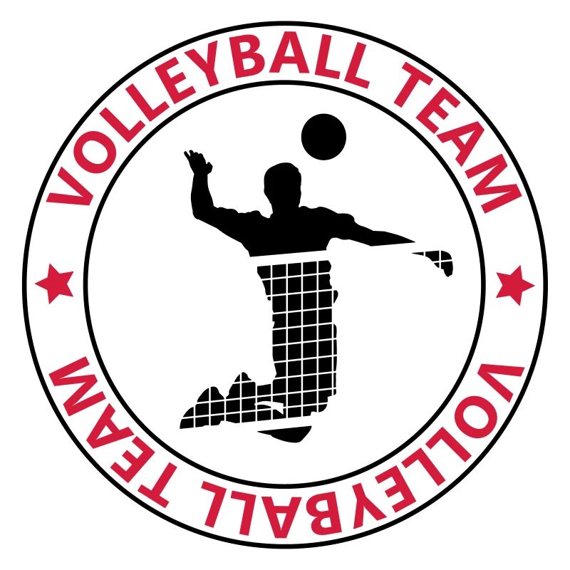 Volleyball team