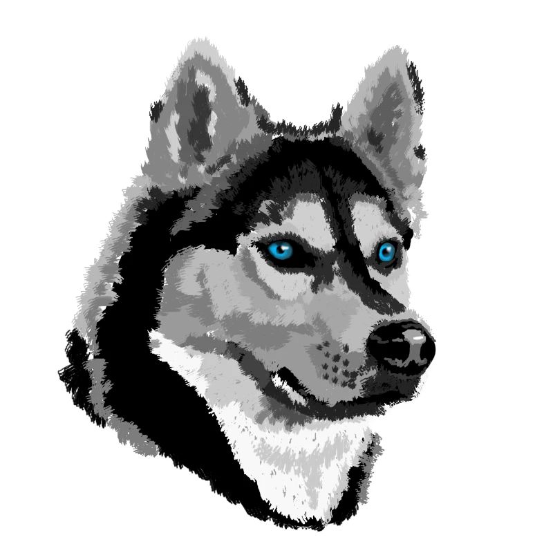 Husky